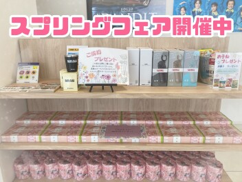 スプリングフェア好評開催中！！